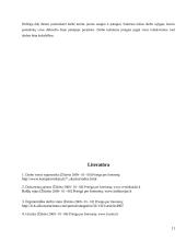 Vadovo darbo vietos projektavimas 11 puslapis