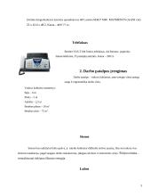 Vadovo darbo vietos projektavimas 5 puslapis