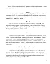 Vadovo darbo vietos projektavimas 6 puslapis