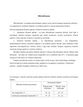 Vadovo darbo vietos projektavimas 7 puslapis