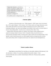 Vadovo darbo vietos projektavimas 8 puslapis
