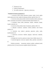 Ergonominiai reikalavimai: parduotuvė "Maisto prekės" 8 puslapis