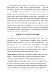 Darbo vietos su kompiuteriu ergonomika 11 puslapis
