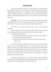 Darbo vietos su kompiuteriu ergonomika 12 puslapis