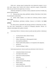 Darbo vietos su kompiuteriu ergonomika 3 puslapis