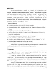 Darbo vietos su kompiuteriu ergonomika 10 puslapis