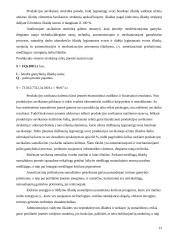 Pašto įmonės ekonominių rodiklių sistema 12 puslapis