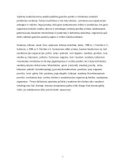 Standartizacijos reikšmė 7 puslapis