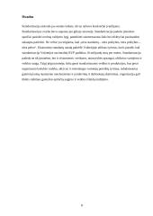 Standartizacijos reikšmė 8 puslapis