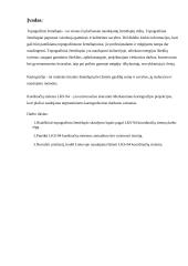Topografinio žemėlapio M 1:10 000 skaidymas į lapus pagal LKS-94 koordinačių sistemą 2 puslapis
