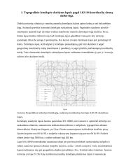 Topografinio žemėlapio M 1:10 000 skaidymas į lapus pagal LKS-94 koordinačių sistemą 3 puslapis