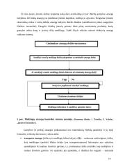 Verslo ekonomikos namų darbas 10 puslapis