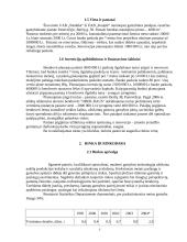 Verslo planas: įrangos gamyba UAB "Naideka" 3 puslapis