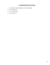 Žuvų produkcijos gabenimas maršrutu Lietuva-Ispanija 12 puslapis