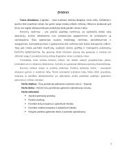 Žuvų produkcijos gabenimas maršrutu Lietuva-Ispanija 3 puslapis