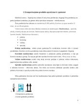 Žuvų produkcijos gabenimas maršrutu Lietuva-Ispanija 4 puslapis