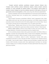 Žuvų produkcijos gabenimas maršrutu Lietuva-Ispanija 7 puslapis