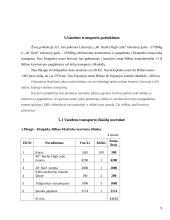 Žuvų produkcijos gabenimas maršrutu Lietuva-Ispanija 9 puslapis