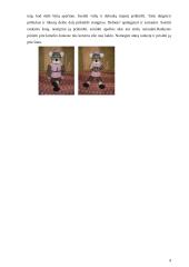 Nerti žaislai 5 puslapis