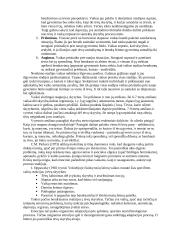 Seminaras: Šeimos struktūros pokyčiai ir jų pasekmės vaikams 6 puslapis