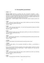 Šokio pamokos išplėstinis planas–konspektas 4 puslapis