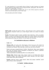 Šokio pamokos išplėstinis planas–konspektas 10 puslapis