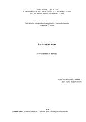 Žaidimų planas