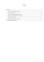 1997 – 1998 metų Azijos finansinė krizė: priežastys ir pasekmės 2 puslapis