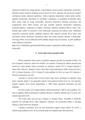 1997 – 1998 metų Azijos finansinė krizė: priežastys ir pasekmės 7 puslapis
