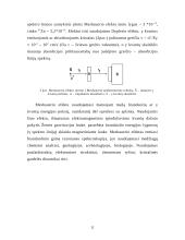 Branduolių magnetinis rezonansas. Elektroninis paramagnetinis rezonansas. Mesbauerio efekto taikymas 12 puslapis