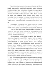 Centrinio banko (CB) nepriklausomumas 2 puslapis