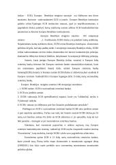 Centrinio banko (CB) nepriklausomumas 13 puslapis