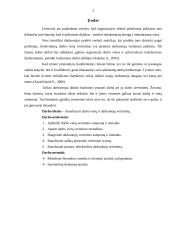 Darbo vietų ir darbuotojų vertinimas 2 puslapis
