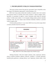 Darbų sauga ir sveikata 3 puslapis