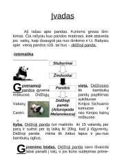 Didžioji panda 2 puslapis