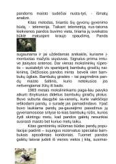 Didžioji panda 7 puslapis
