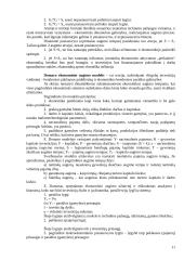 Ekonominio augimo teorijos esmė 11 puslapis