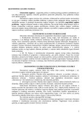 Ekonominio augimo teorijos esmė 3 puslapis