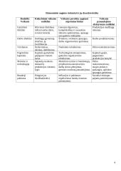 Ekonominio augimo teorijos esmė 4 puslapis