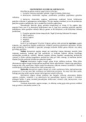 Ekonominio augimo teorijos esmė 5 puslapis