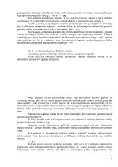 Ekonominio augimo teorijos esmė 8 puslapis