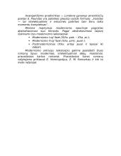 Erichas Marija Remarkas 2 puslapis