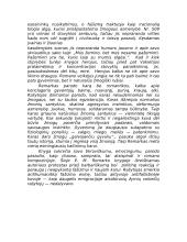 Erichas Marija Remarkas 5 puslapis