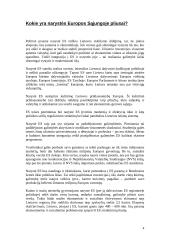Europos Sąjunga (ES) - pliusai ir minusai 4 puslapis