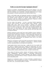 Europos Sąjunga (ES) - pliusai ir minusai 6 puslapis