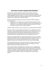 Europos Sąjunga (ES) - pliusai ir minusai 8 puslapis