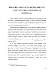 Regioninė politika Europos Sąjungoje ir jos taikymas valstybėse narėse 13 puslapis