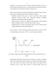 Gamybos teorija ir funkcija 12 puslapis