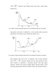Gamybos teorija ir funkcija 13 puslapis