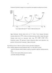 Gamybos teorija ir funkcija 14 puslapis